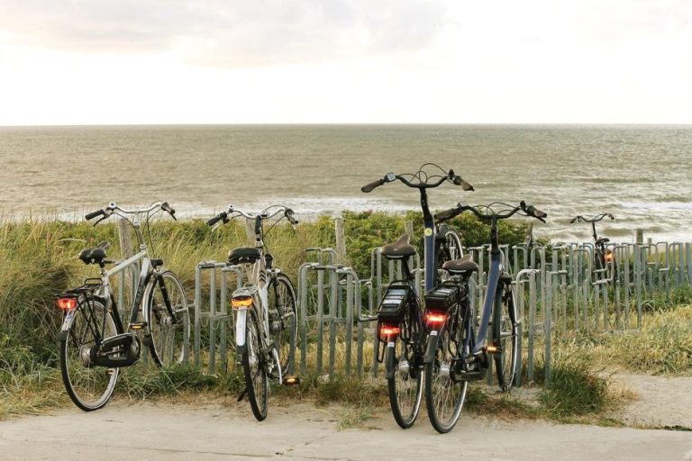 Overzicht van de beste fietsendragers van 2025 waaronder Thule EasyFold XT, Yakima HoldUp Evo en Saris Superclamp EX